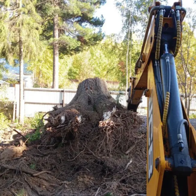 корчевание и удаление пней экскаватором-погрузчиком